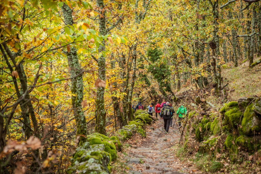 © Otoño Mágico del Valle del Ambroz (Fiesta de Interés Turístico Internacional)